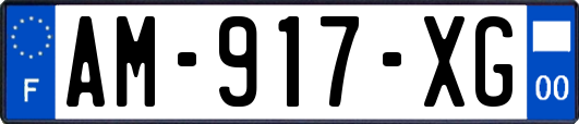 AM-917-XG