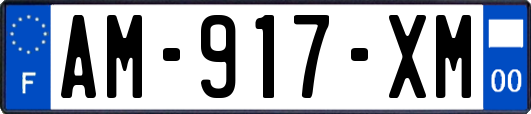 AM-917-XM