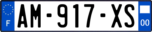 AM-917-XS