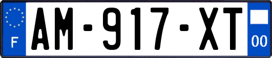 AM-917-XT