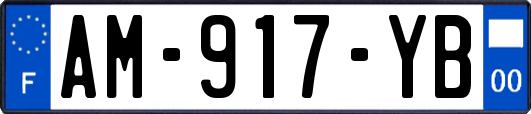 AM-917-YB