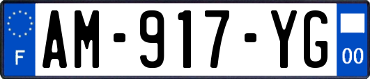 AM-917-YG