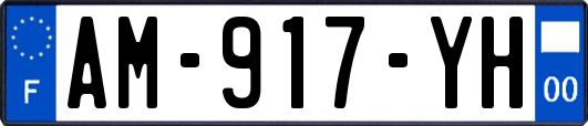 AM-917-YH