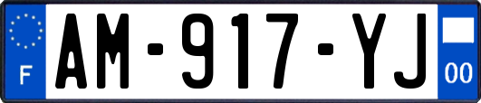 AM-917-YJ