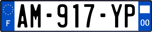 AM-917-YP