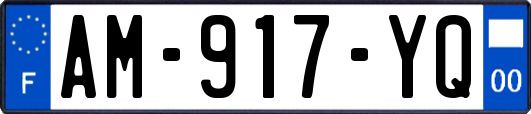 AM-917-YQ