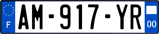 AM-917-YR