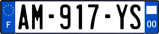 AM-917-YS