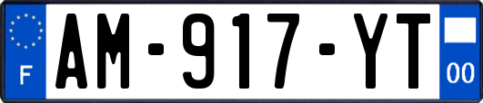 AM-917-YT