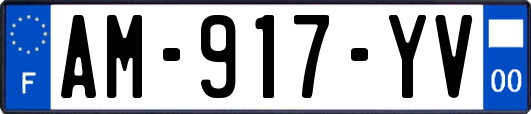AM-917-YV