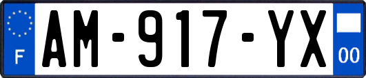 AM-917-YX