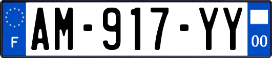 AM-917-YY