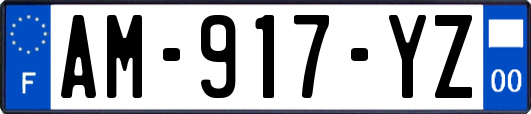 AM-917-YZ
