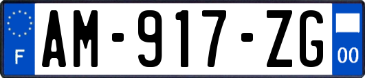 AM-917-ZG