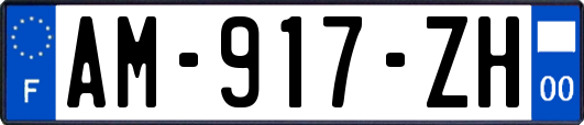 AM-917-ZH