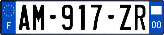AM-917-ZR