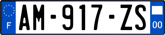 AM-917-ZS