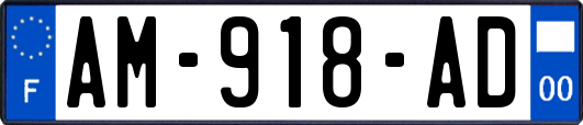 AM-918-AD