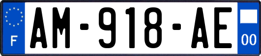 AM-918-AE