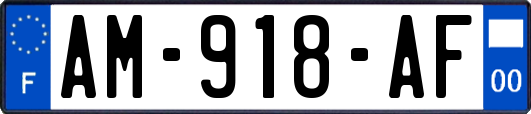 AM-918-AF
