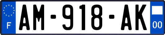 AM-918-AK