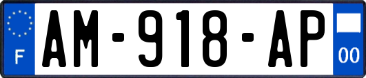 AM-918-AP