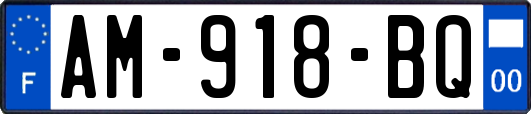 AM-918-BQ