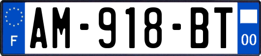 AM-918-BT