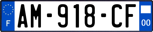 AM-918-CF