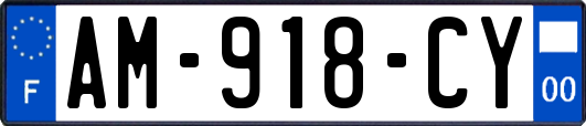 AM-918-CY