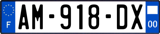 AM-918-DX