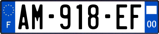 AM-918-EF