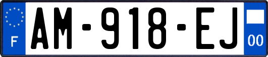 AM-918-EJ
