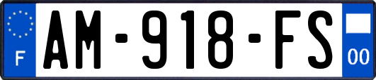 AM-918-FS