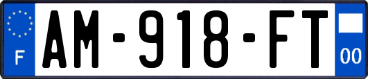 AM-918-FT