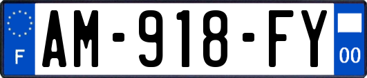 AM-918-FY