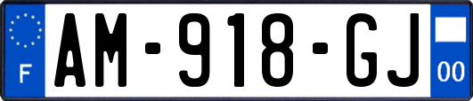 AM-918-GJ