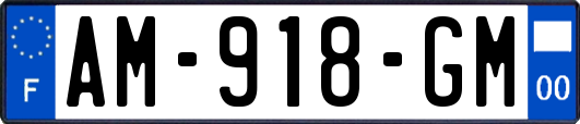 AM-918-GM
