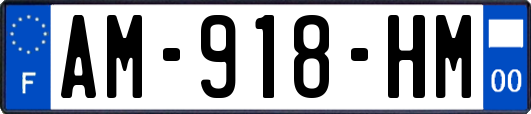 AM-918-HM