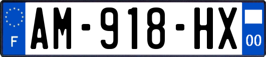AM-918-HX