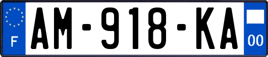 AM-918-KA