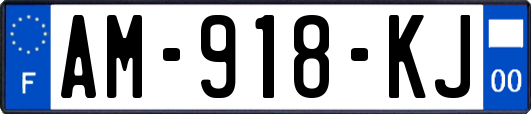AM-918-KJ