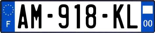 AM-918-KL