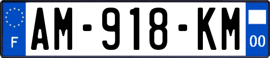 AM-918-KM