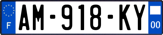 AM-918-KY