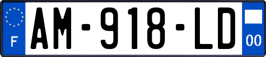 AM-918-LD