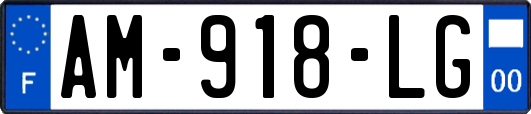 AM-918-LG
