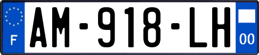 AM-918-LH