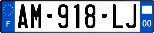 AM-918-LJ