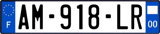 AM-918-LR